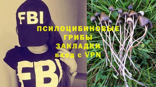 дурь Наволоки