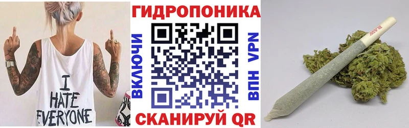 Конопля Amnesia  Балабаново 